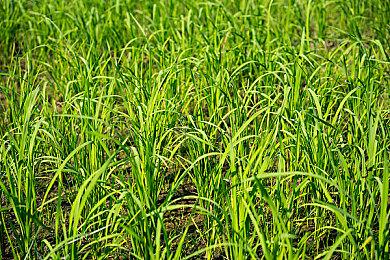 《潜行者2》首个更新1.0.1上线 修复超650个bug