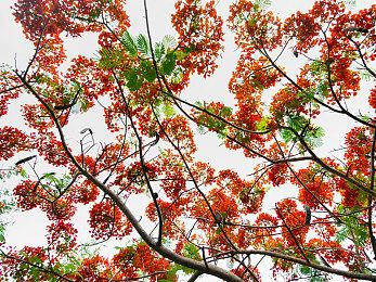 Fami通2021游戏销量排行榜 《怪物猎人：崛起》登顶