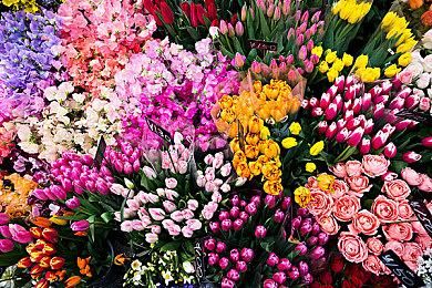 《博德之门3》Steam史低促销 降价20%